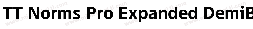 TT Norms Pro Expanded DemiBold Ital字体转换